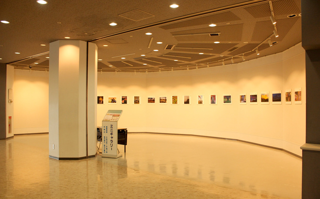 img_8795.jpg